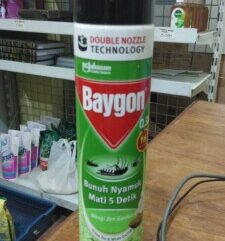 BAYGON SEMPROT 600ML 8998899995984
